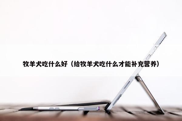 牧羊犬吃什么好（给牧羊犬吃什么才能补充营养）