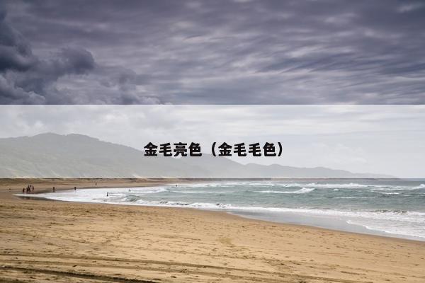 金毛亮色（金毛毛色）