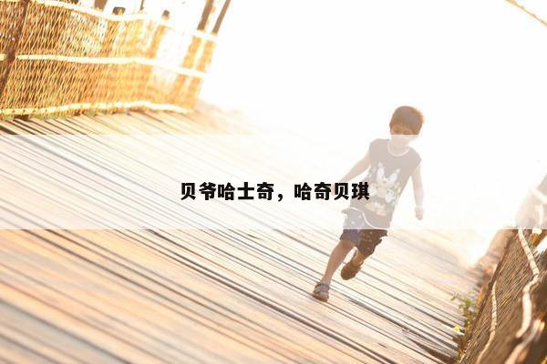 贝爷哈士奇，哈奇贝琪