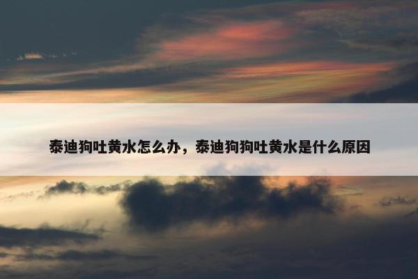 泰迪狗吐黄水怎么办，泰迪狗狗吐黄水是什么原因