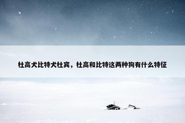 杜高犬比特犬杜宾，杜高和比特这两种狗有什么特征