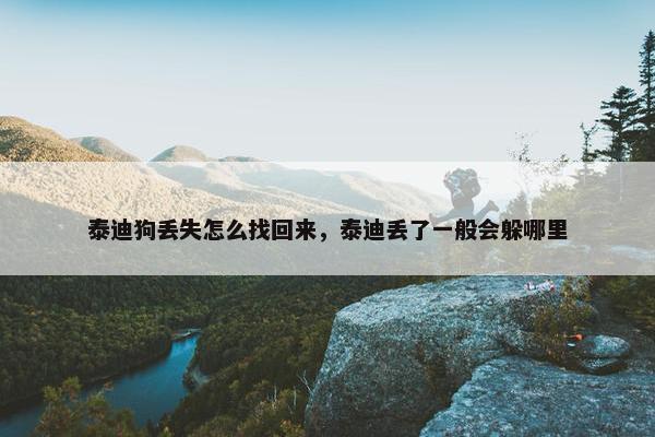 泰迪狗丢失怎么找回来，泰迪丢了一般会躲哪里