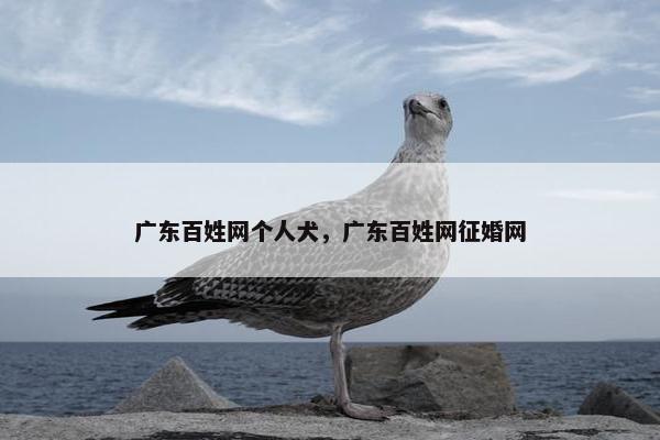 广东百姓网个人犬，广东百姓网征婚网