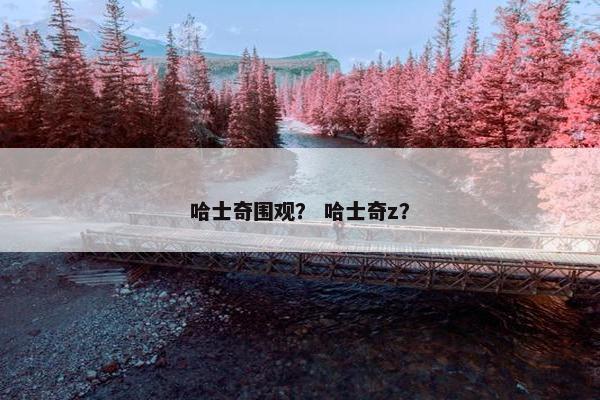 哈士奇围观？ 哈士奇z？