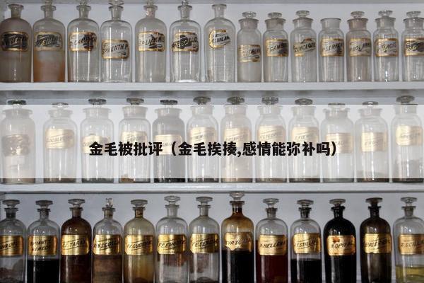 金毛被批评（金毛挨揍,感情能弥补吗）