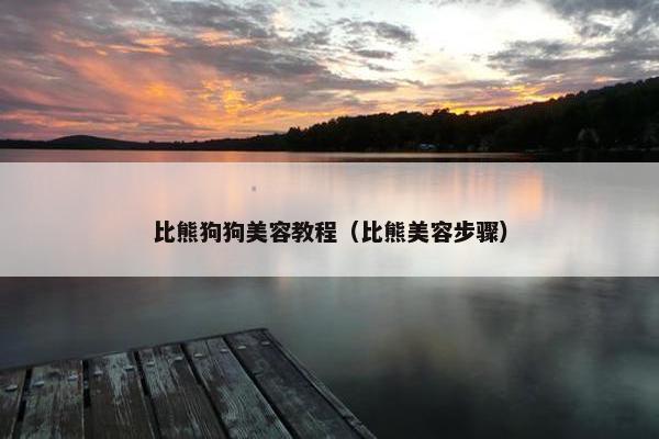 比熊狗狗美容教程（比熊美容步骤）