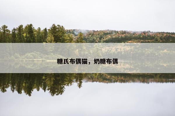 糖氏布偶猫，奶糖布偶