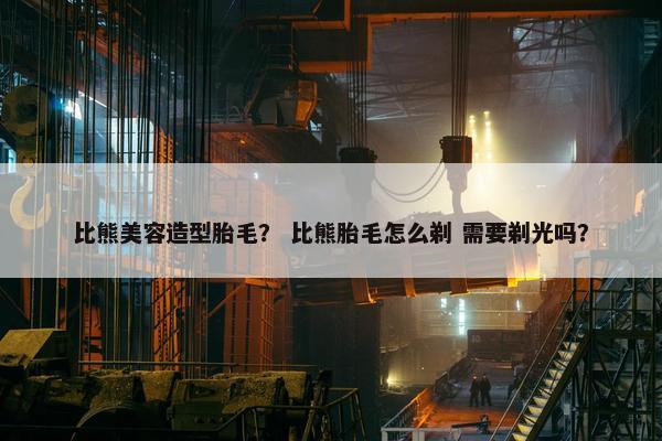比熊美容造型胎毛？ 比熊胎毛怎么剃 需要剃光吗？