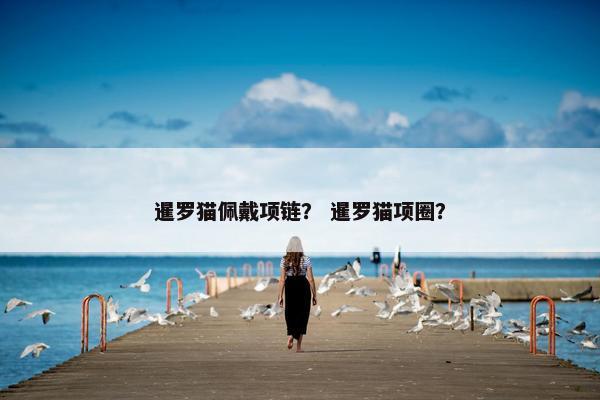 暹罗猫佩戴项链？ 暹罗猫项圈？