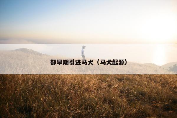 部早期引进马犬（马犬起源）