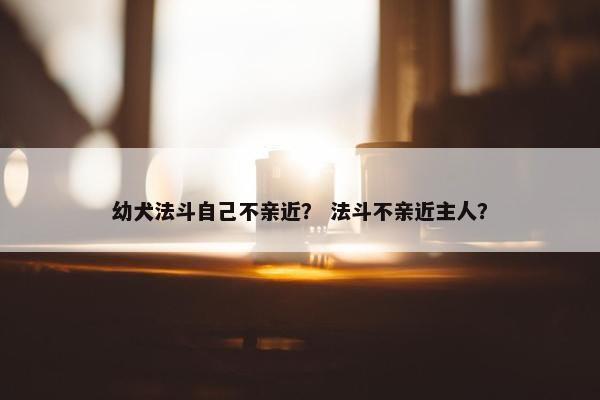 幼犬法斗自己不亲近？ 法斗不亲近主人？