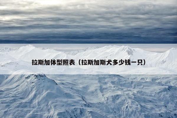 拉斯加体型照表（拉斯加斯犬多少钱一只）