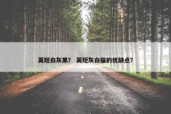英短白灰黑？ 英短灰白猫的优缺点？