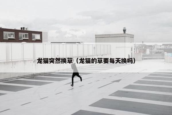 龙猫突然换草（龙猫的草要每天换吗）