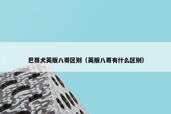 巴哥犬英版八哥区别（英版八哥有什么区别）
