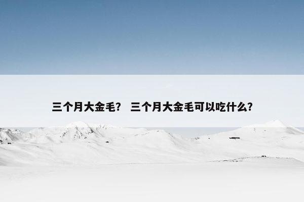 三个月大金毛？ 三个月大金毛可以吃什么？