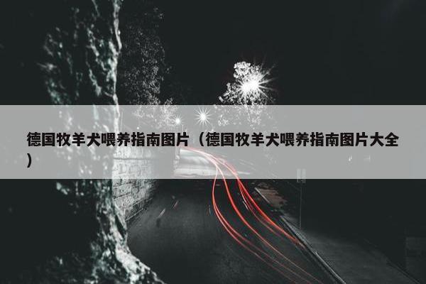 德国牧羊犬喂养指南图片（德国牧羊犬喂养指南图片大全）