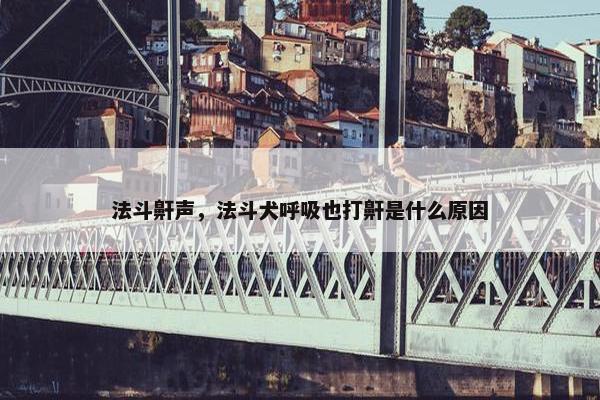 法斗鼾声，法斗犬呼吸也打鼾是什么原因
