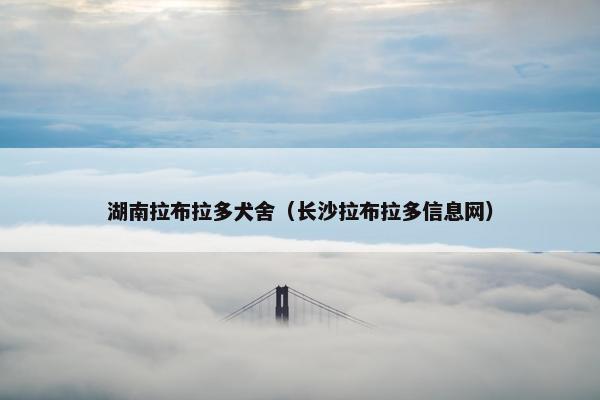 湖南拉布拉多犬舍（长沙拉布拉多信息网）