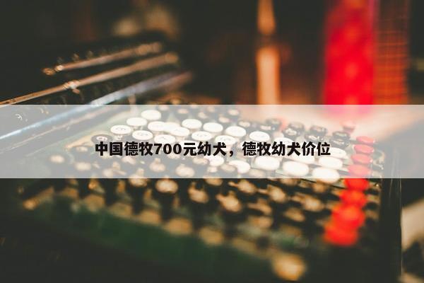 中国德牧700元幼犬，德牧幼犬价位