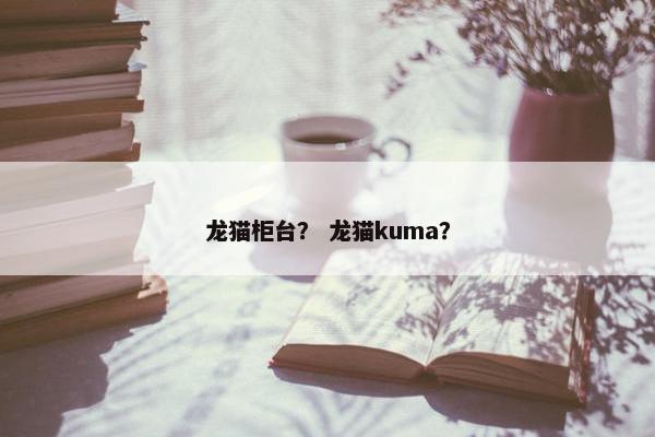 龙猫柜台？ 龙猫kuma？