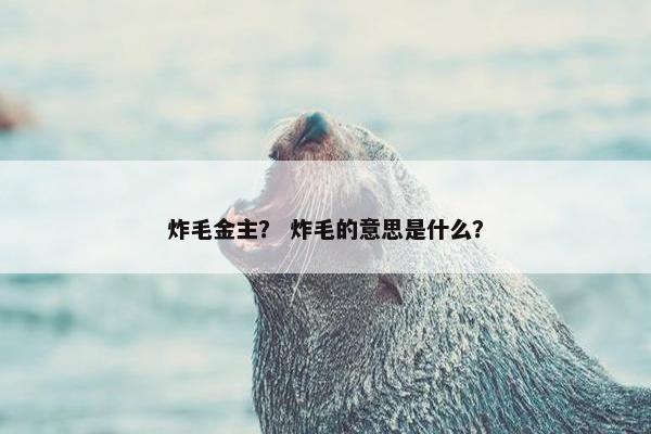 炸毛金主？ 炸毛的意思是什么？