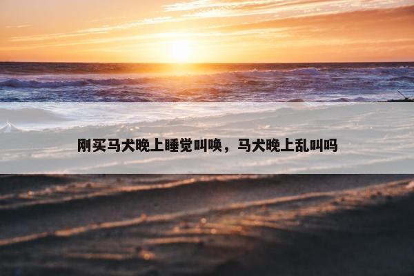 刚买马犬晚上睡觉叫唤，马犬晚上乱叫吗