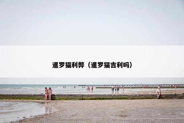 暹罗猫利弊（暹罗猫吉利吗）
