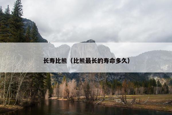 长寿比熊（比熊最长的寿命多久）