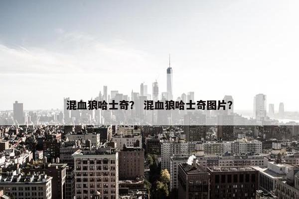 混血狼哈士奇？ 混血狼哈士奇图片？