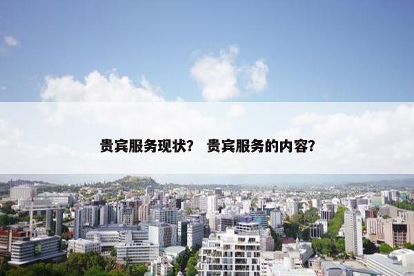 贵宾服务现状？ 贵宾服务的内容？