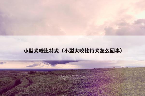 小型犬咬比特犬（小型犬咬比特犬怎么回事）