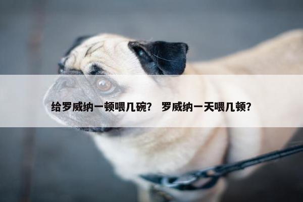 给罗威纳一顿喂几碗？ 罗威纳一天喂几顿？