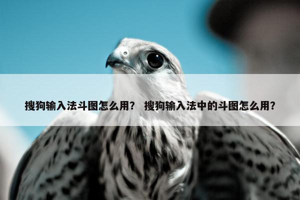 搜狗输入法斗图怎么用？ 搜狗输入法中的斗图怎么用？