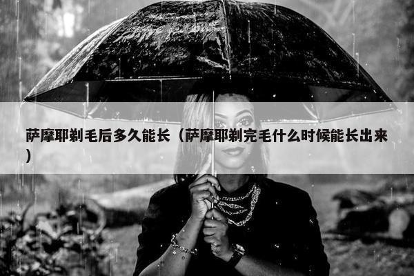 萨摩耶剃毛后多久能长（萨摩耶剃完毛什么时候能长出来）