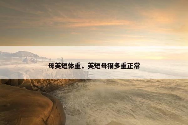 母英短体重，英短母猫多重正常