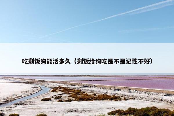 吃剩饭狗能活多久（剩饭给狗吃是不是记性不好）