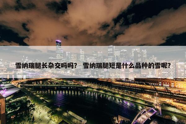 雪纳瑞腿长杂交吗吗？ 雪纳瑞腿短是什么品种的雪呢？