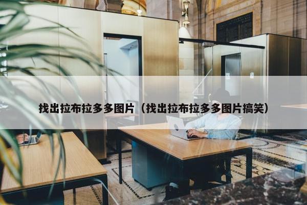 找出拉布拉多多图片（找出拉布拉多多图片搞笑）