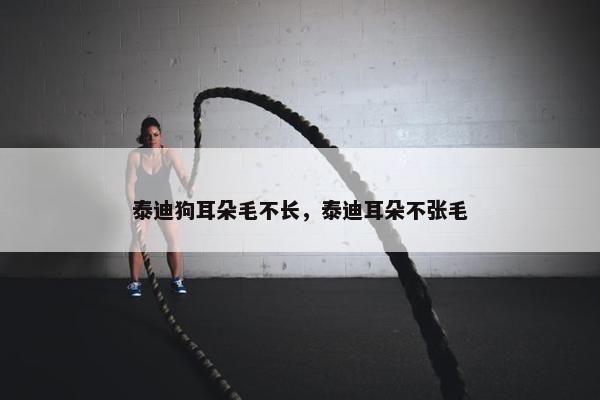 泰迪狗耳朵毛不长，泰迪耳朵不张毛