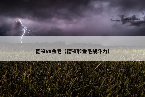 德牧vs金毛（德牧和金毛战斗力）