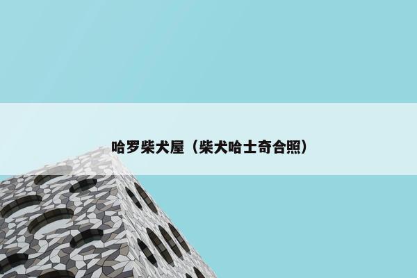 哈罗柴犬屋（柴犬哈士奇合照）