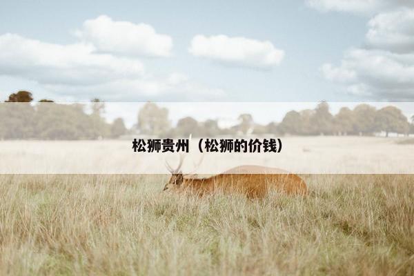 松狮贵州（松狮的价钱）