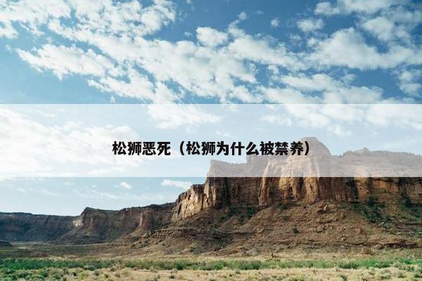 松狮恶死（松狮为什么被禁养）