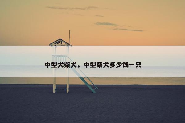中型犬柴犬，中型柴犬多少钱一只