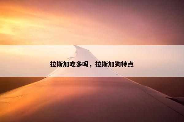 拉斯加吃多吗，拉斯加狗特点