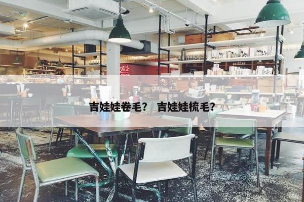 吉娃娃卷毛？ 吉娃娃梳毛？