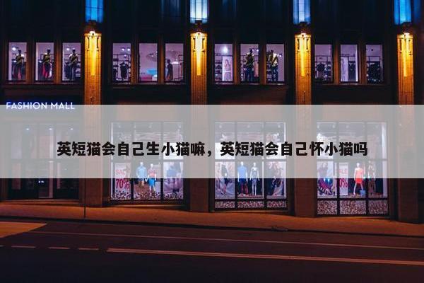 英短猫会自己生小猫嘛，英短猫会自己怀小猫吗