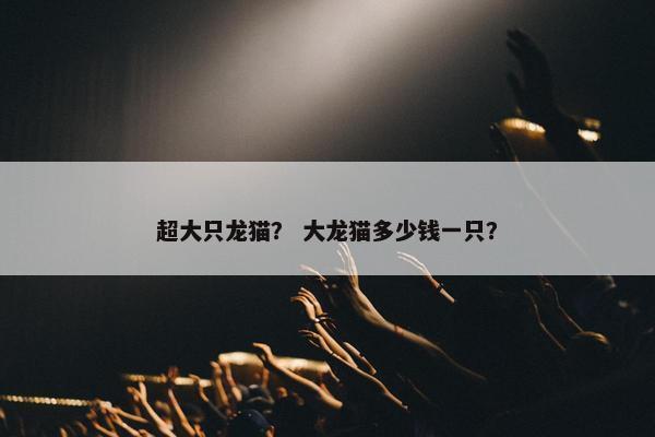 超大只龙猫？ 大龙猫多少钱一只？
