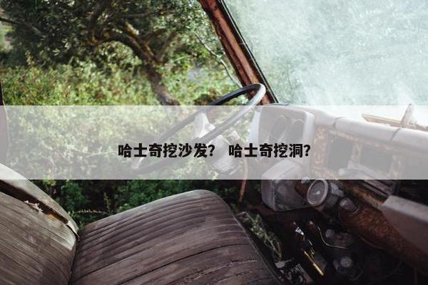 哈士奇挖沙发？ 哈士奇挖洞？